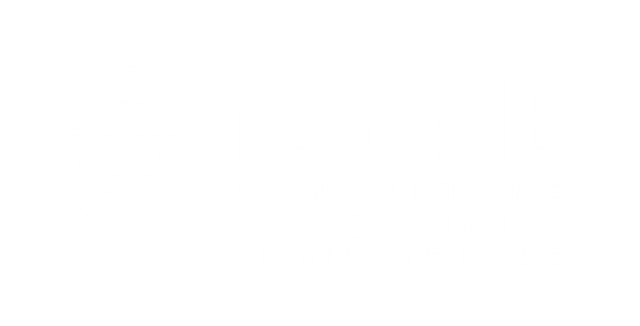 AYAB Consultores